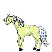 cavalo-imagem-animada-0037