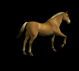 cavalo-imagem-animada-0060