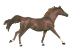 cavalo-imagem-animada-0271