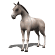 cavalo-imagem-animada-0280