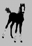 cavalo-imagem-animada-0324