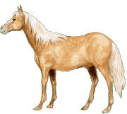 cavalo-imagem-animada-0329