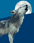 lobo-imagem-animada-0074