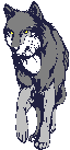 lobo-imagem-animada-0115