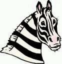 zebra-imagem-animada-0027