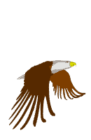 aguia-imagem-animada-0002