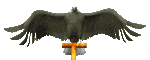 aguia-imagem-animada-0006