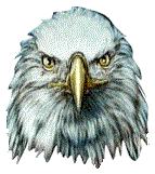 aguia-imagem-animada-0046