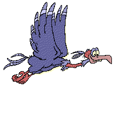 aguia-imagem-animada-0082