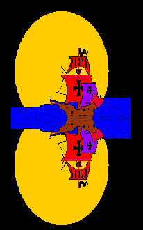 navio-e-barco-imagem-animada-0087