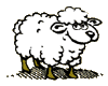 ovelha-e-carneiro-imagem-animada-0074