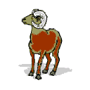 ovelha-e-carneiro-imagem-animada-0093