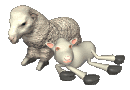 ovelha-e-carneiro-imagem-animada-0111