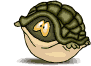 tartaruga-imagem-animada-0047