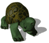 tartaruga-imagem-animada-0132