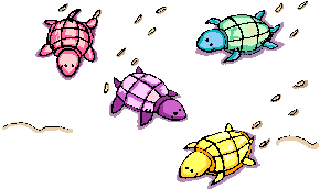 tartaruga-imagem-animada-0167