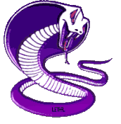 cobra-e-serpente-imagem-animada-0138