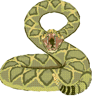 cobra-e-serpente-imagem-animada-0142