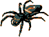 aranha-imagem-animada-0070