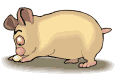 porco-imagem-animada-0090