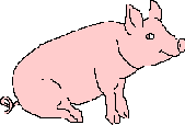 porco-imagem-animada-0180