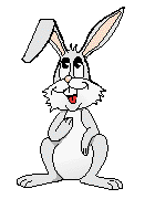 coelho-imagem-animada-0319