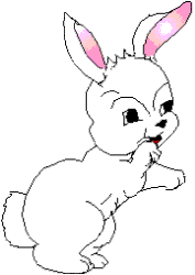 coelho-imagem-animada-0644