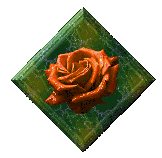 rosa-imagem-animada-0018