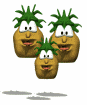 abacaxi-e-ananas-imagem-animada-0001