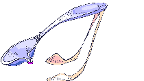 talher-imagem-animada-0049