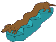 dachshund-imagem-animada-0028