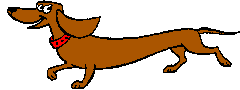 dachshund-imagem-animada-0037