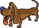 dachshund-imagem-animada-0054