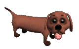 dachshund-imagem-animada-0077