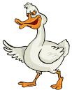pato-imagem-animada-0042