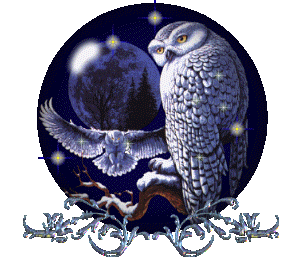 coruja-e-mocho-imagem-animada-0095