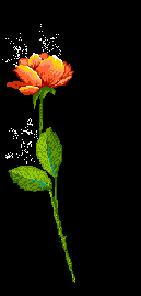 flor-imagem-animada-0022