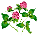flor-imagem-animada-0381
