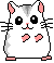 hamster-imagem-animada-0147