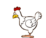 galinha-imagem-animada-0123