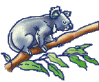 coala-imagem-animada-0011