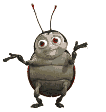 joaninha-imagem-animada-0056