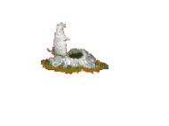 marmota-imagem-animada-0096