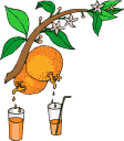 laranja-imagem-animada-0004
