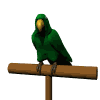 papagaio-imagem-animada-0014