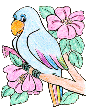 papagaio-imagem-animada-0122