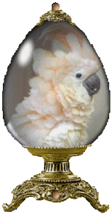 papagaio-imagem-animada-0131