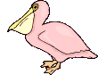 pelicano-imagem-animada-0010