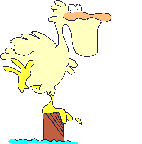 pelicano-imagem-animada-0016