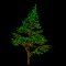 planta-imagem-animada-0005